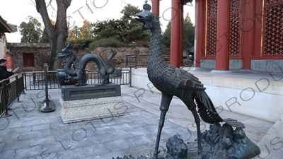 Bronze Statues of a Phoenix and Dragon outside the Hall of Benevolence and Longevity (Renshoudian) in the Summer Palace in Beijing