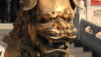 Guardian Lion Statue in front of the Gate of Heavenly Purity (Qianqing Men) in the Forbidden City in Beijing