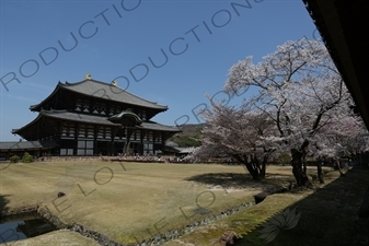 Big Buddha Hall (Daibutsuden) of Todaiji in Nara