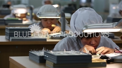 Tianjin 'Sea Gull Watch Group' Factory