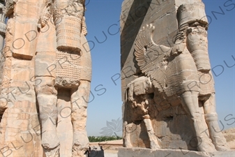 Lamassu Carvings on the Gate of All Nations at Persepolis