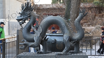Dragon Statue outside the Hall of Benevolence and Longevity (Renshoudian) in the Summer Palace in Beijing
