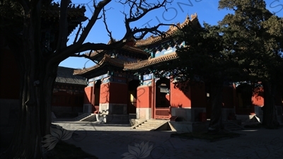 Stone Tablet Housing Pavilions (Beiting) in the Confucius Temple in Beijing