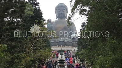 Tian Tan/Big Buddha on Lantau Island