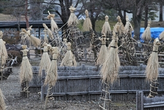 Rice Protectors in Matsumoto Castle in Matsumoto