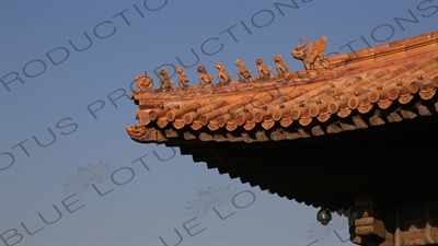 Imperial Roof Decoration in the Forbidden City in Beijing