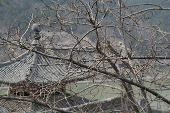 Fengxian Temple/Grotto (Fengxian Si) at the Longmen Grottoes (Longmen Shiku) near Luoyang