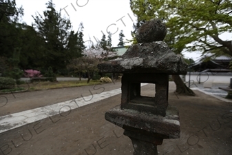 Stone Lantern (Toro) in Engaku-ji in Kamakura