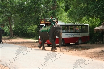 Angkor Elephant