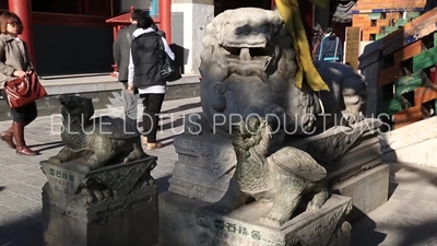 Two Dragon Turtle (Longgui) Statues in the Lama Temple in Beijing