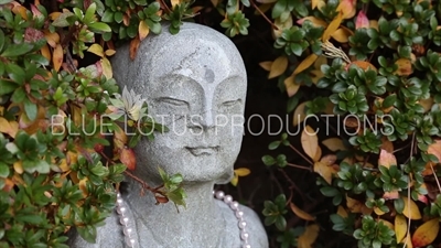 Small Stone Statue Hidden in the Hedges at the Haedong Yonggung Temple (Haedong Yonggungsa) in Busan