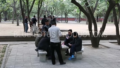 Playing Cards in the Temple of the Sun Park (Ritan Gongyuan) in Beijing