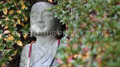 Small Stone Statue Hidden in the Hedges at the Haedong Yonggung Temple (Haedong Yonggungsa) in Busan