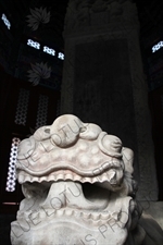 Dragon Turtle (Longgui) Statue and stele in the Lama Temple (Yonghegong) in Beijing