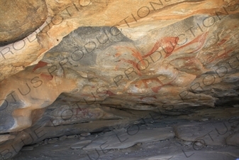 Prehistoric Cave Paintings in Laas Geel/Laas Gaal on the Outskirts of Hargeisa in Somaliland