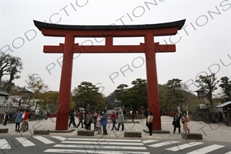 Torii Leading to Tsurugaoka Hachimangu Shrine in Kamakura