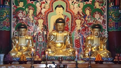 Statues of the Three Buddhas/Buddhas of the Past, Present and Future at the Haedong Yonggung Temple (Haedong Yonggungsa) in Busan