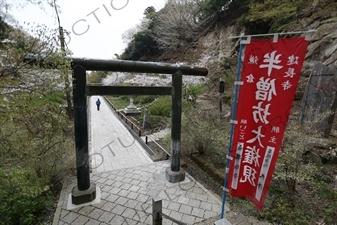 Torii on the way to Hansobo above Kencho-ji in Kamakura