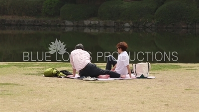 Kitanomaru Park/Garden Picnic in Tokyo