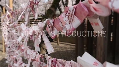 Yasukuni Shrine (Yasukuni-jinja) Paper Fortunes (Omikuji) in Tokyo