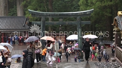 Toshogu Shrine Karadou Torii in Nikko