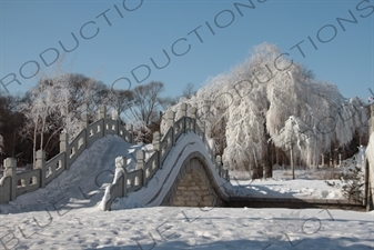 Chinese Style Arched Bridge in the Sun Island Scenic Area (Taiyang Dao) in Harbin