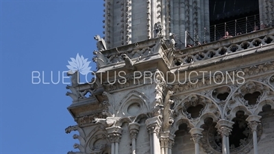 Notre-Dame Gargoyles and Sculptures in Paris