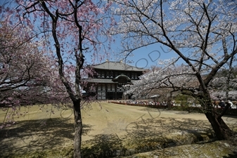 Big Buddha Hall (Daibutsuden) of Todaiji in Nara