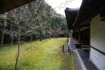 Garden in Koto-in in Daitoku-ji in Kyoto