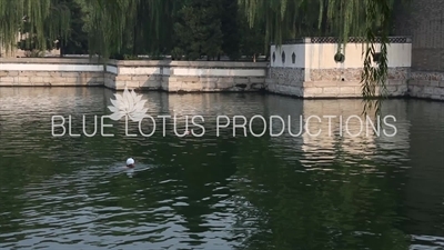 Man Swimming in Kunming Lake (Kunming Hu) in the Summer Palace in Beijing