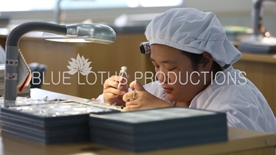 Tianjin 'Sea Gull Watch Group' Factory