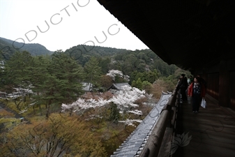 Grounds of Nanzen-ji in Kyoto