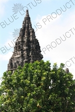 Building at Prambanan Temple Compound near Yogyakarta