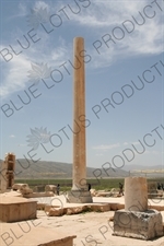 Palace of Pasargadae