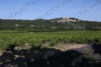 Château de Lacoste above Lacoste