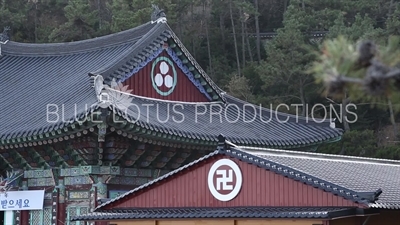 Temple Roofs/Rooves at Haedong Yonggung Temple (Haedong Yonggungsa) in Busan