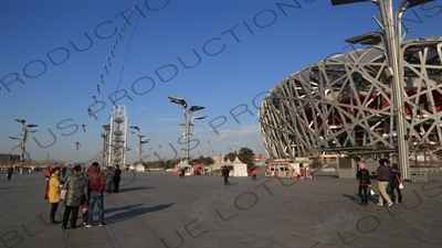 Kites Flying in front of the Bird's Nest/National Stadium (Niaochao/Guojia Tiyuchang) in the Olympic Park in Beijing