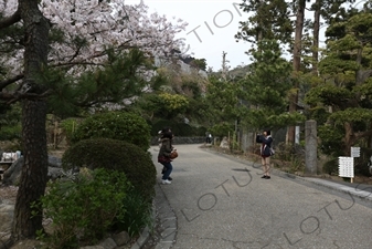 Tourists in Kencho-ji in Kamakura