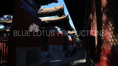 Stone Tablet Housing Pavilions (Beiting) in the Confucius Temple in Beijing