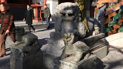 Dragon Turtle (Longgui) Statues and a Lion Statue in the Lama Temple in Beijing