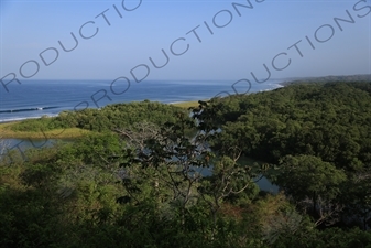 Rainforest and Playa Guiones in Nosara