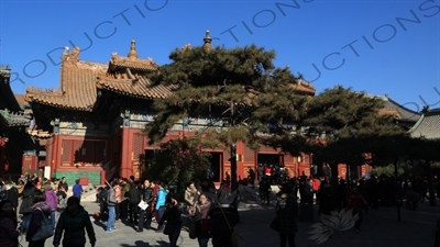 Hall of the Wheel of the Law (Falun Dian) in the Lama Temple in Beijing