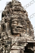 Face Carving at Ta Prohm in Angkor