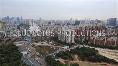 Shenzhen Cityscape