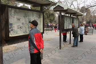 People Reading Communal Newspapers near the North Gate of the Temple of Heaven (Tiantan) in Beijing