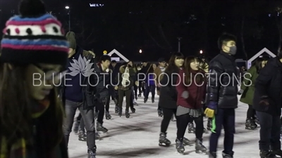 Seoul Plaza Ice Rink