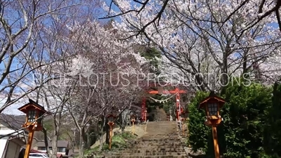 Arakura Sengen Shrine Entry Stairway in Fujiyoshida