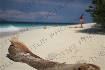 Beach on Gili Meno