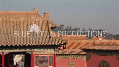 Imperial Roofs/Rooves in the Forbidden City in Beijing