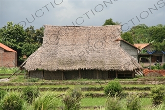 Straw House near Yogyakarta